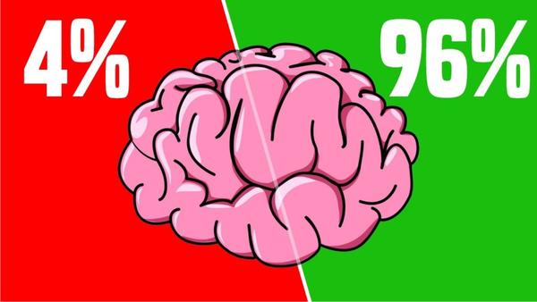 मेंदूला प्रशिक्षण देऊन ‘स्मार्ट’ होण्याचे दावे : किती खरे व किती खोटे?