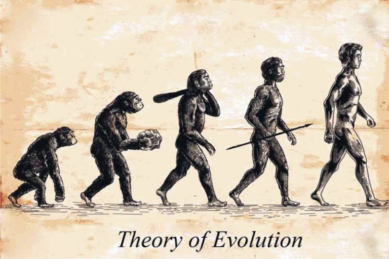 डार्विनचा क्रांतिकारक सिद्धांत
