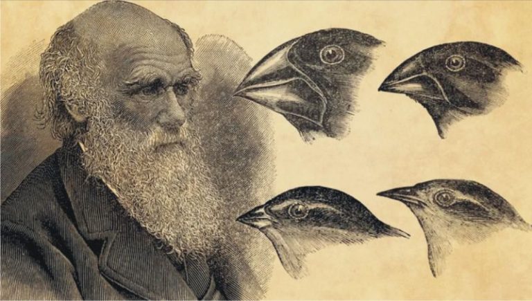 डार्विनच्या सिद्धांताची सत्यासत्यता